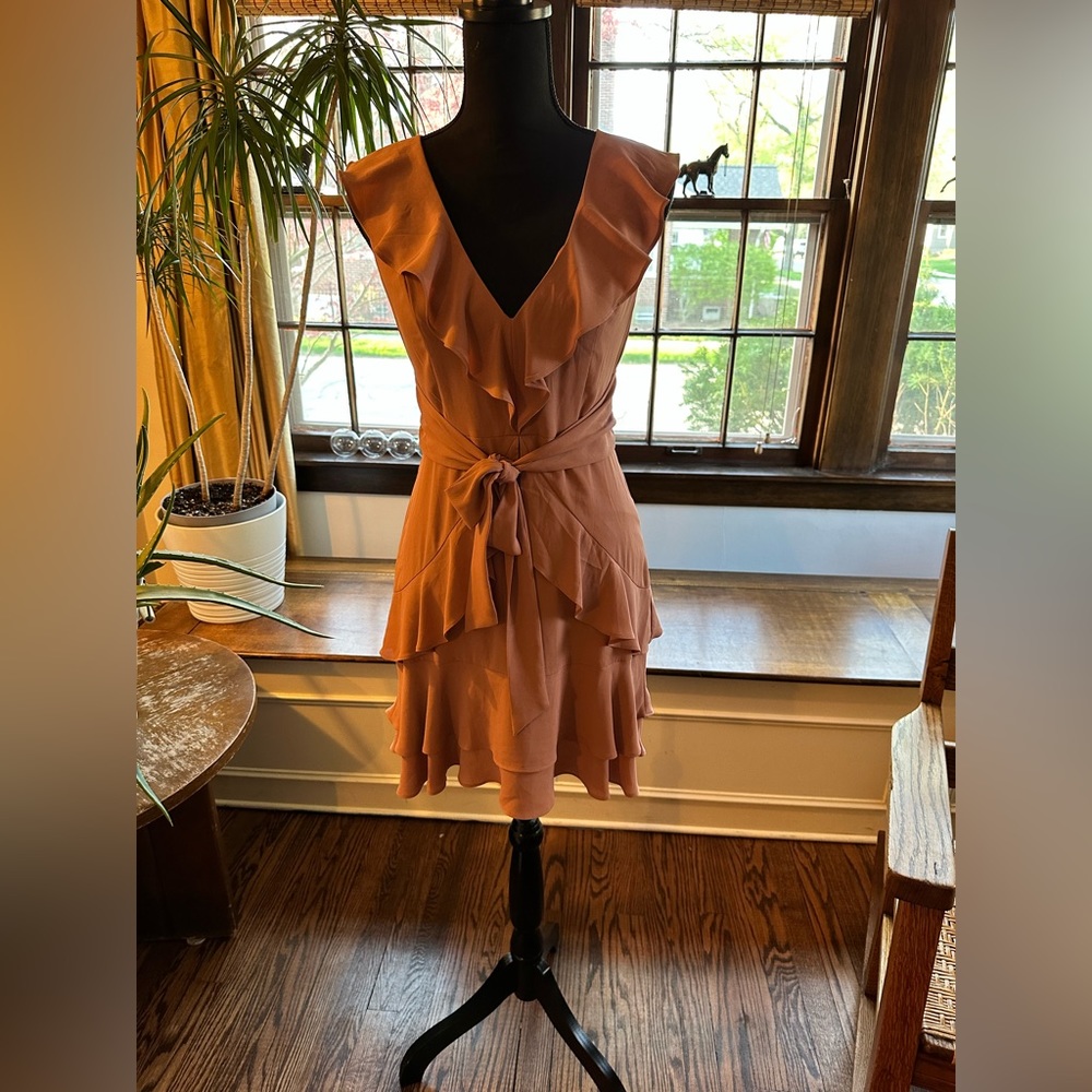 Express Ruffle Mini Dress - Picture 11 of 11